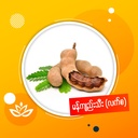မန်ကျည်းထိပ်စ Tamarind (Myanmar) (1Ctnx10Viss)