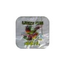 Lucky Bag-B Plastic Bag-8x15 (1Bunx10Pck)