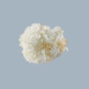 ကျောက်ပွင့်-Snow Fungus (1Ctnx8Pkgx0.3Viss)