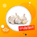 ကြူကုတ်ကြက်သွန်ဖြူ Large Size Garlic (China)