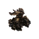 ကြွက်နားရွက်-Jelly Fungi (1Bagx10Viss)