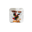 Lucky Bag Plastic Bag-12x20 (1Bagx10Bunx10Pck)